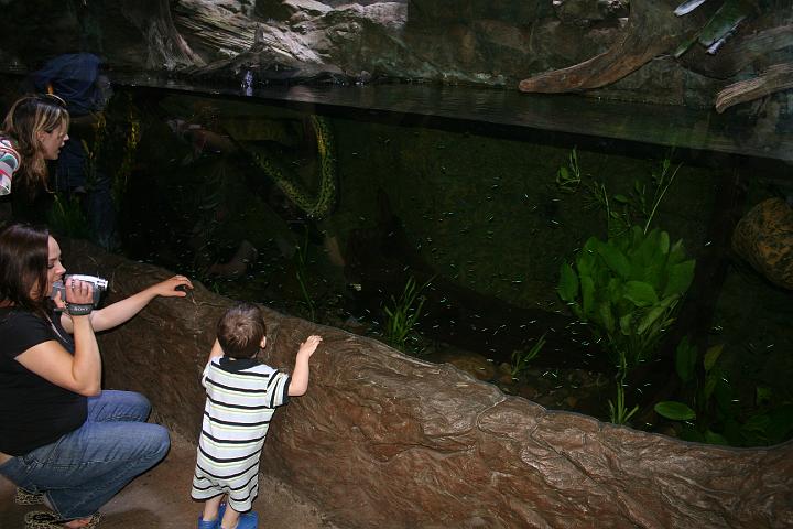 Grant's 2 year birthday041.JPG